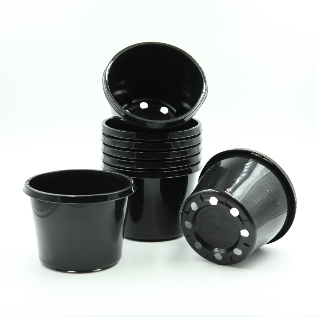 100mm Round Squat Plastic Pot in Black (77mm depth)
