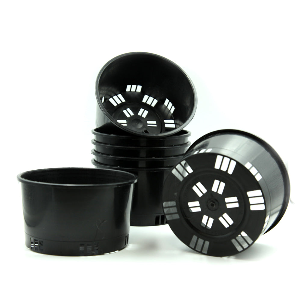 125mm Round Squat Port Orchid Pots in Black