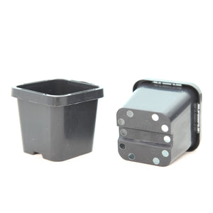 66mm Square Squat Plastic Pot in Black with Tag Lock