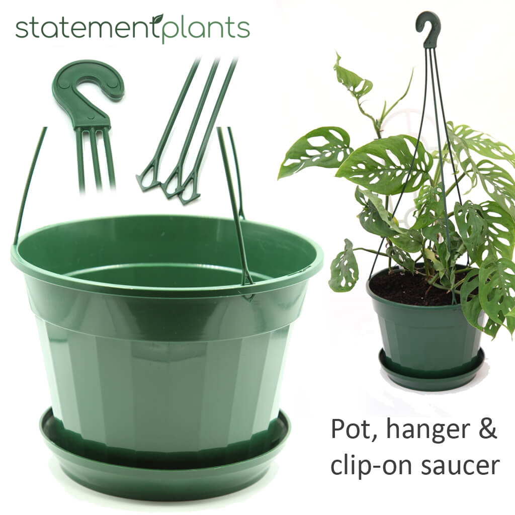 165mm Black or Green Hanging Basket Pot with Hanger and Optional Saucer